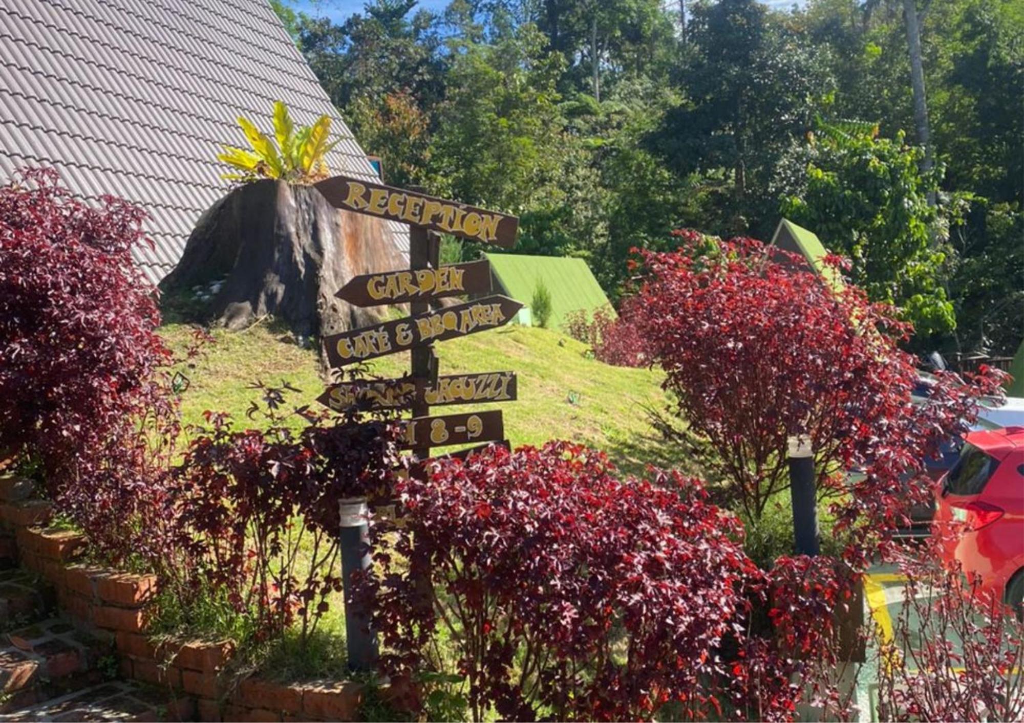 Rustcamps Glamping Resort Τζεντίνγκ Χάιλαντς Εξωτερικό φωτογραφία